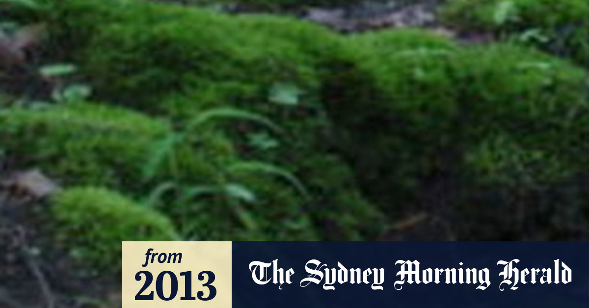 400yearold frozen plants come back to life